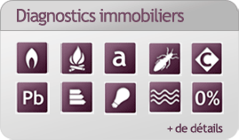 diagnostic immobilier